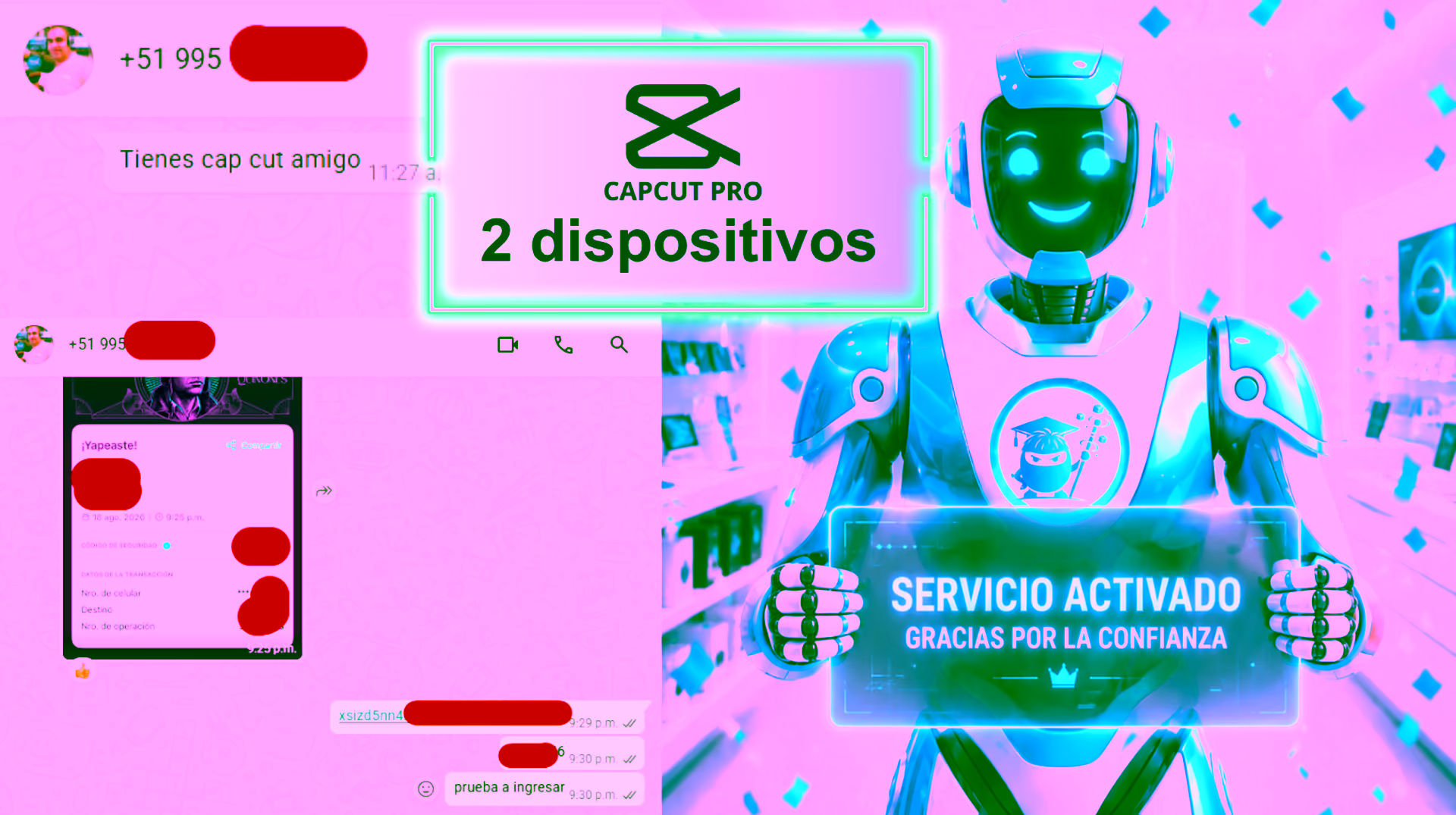 Evidencia del resultado Renovación exitosa para Cliente VIP